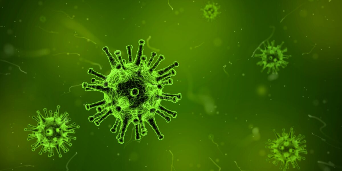 Bakterie i wirusy metodą odwróconej lekcji - szkolenie i materiały do pracy