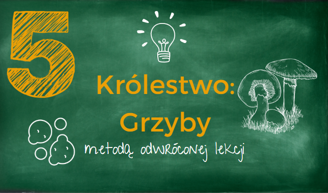 Grzyby - szkolenie i materiały do pracy